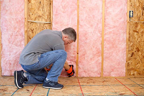 Best Insulation Maintenance and Repair in Red Lodge, MT